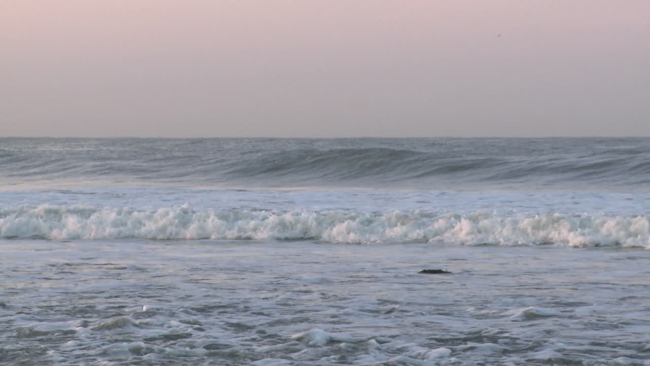 캘리포니아 벤투라의 서퍼스 포인트에서 파도를 타는 서퍼
