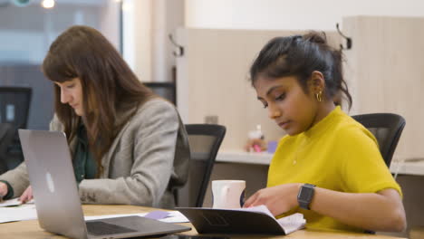 Dos-colegas-femeninas-que-trabajan-en-una-oficina