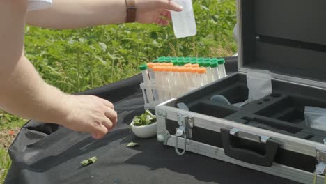 laboratory assistant conducting research on plants in the field