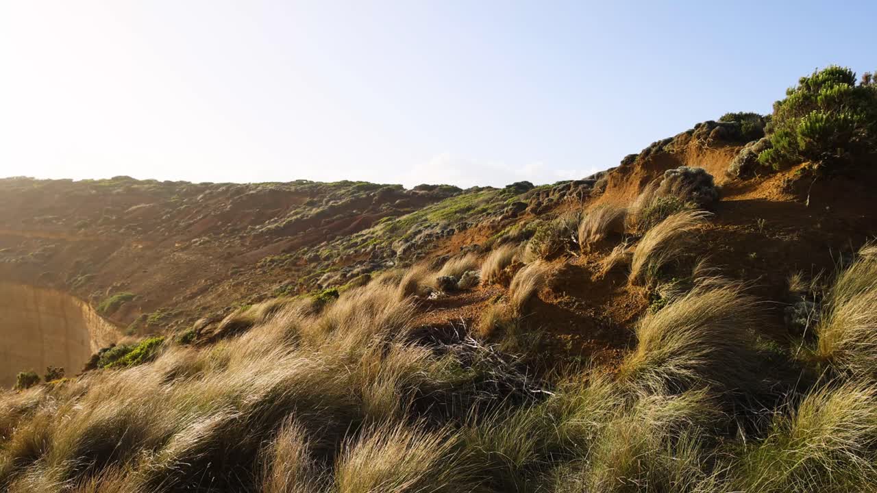 hermoso paisaje costero con acantilados y vegetación