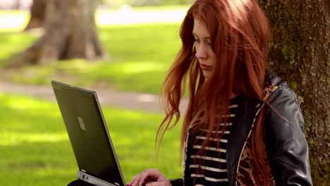 bonita pelirroja usando una computadora portátil en el parque