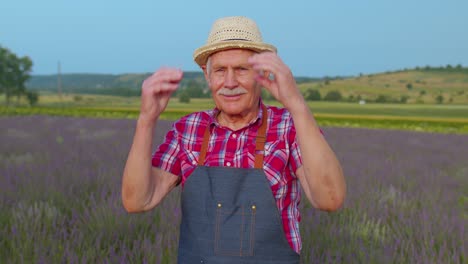 senior grandfather man farmer growing lavender in blooming flowers field of purple lavender flowers