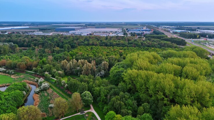 Large beautiful green park with diverse trees. Storehouses and highways with cars at backdrop. Aerial perspective.