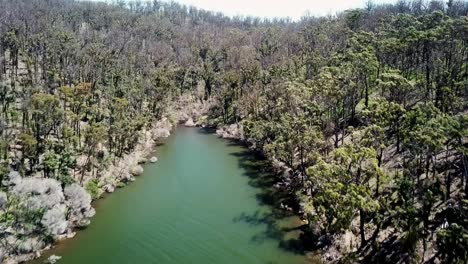 Aufsteigende-Drohnenaufnahmen-Des-Waldes-Entlang-Der-Bucht-Von-Mallacoota-In-Ost-Victoria,-Australien,-Dezember-2020,-Ein-Jahr-Nachdem-Die-Region-Von-Waldbränden-Heimgesucht-Wurde