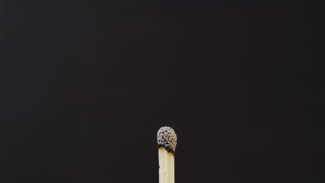 delicate match burning and gradually extinguishing against deep black backdrop, revealing intricate combustion stages and ephemeral fragility of flame