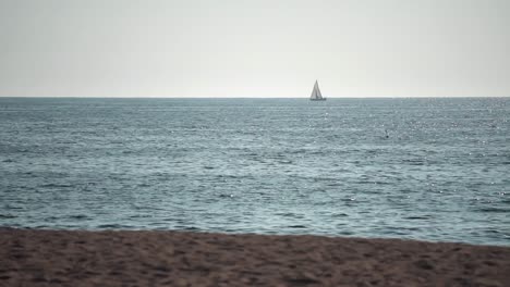 sailboar in a open sea travelling