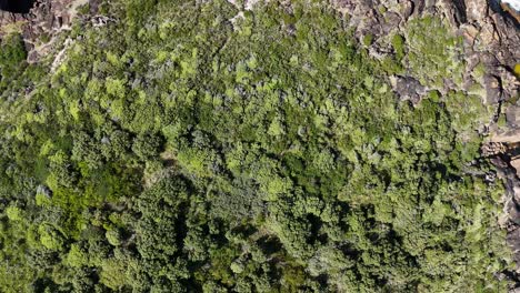 el acantilado rocoso de la costa se encuentra con el mar turquesa