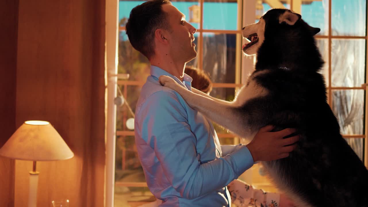 젊은이가 침실의 침대에 개와 함께 놀고 있다. 허스키 개는 서서 그 사람의 어깨에 손바닥을 고 있다.