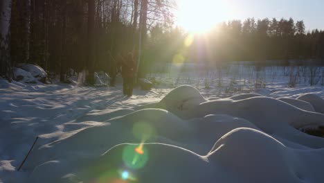 Winterwaldweg-Mit-Einem-Finnischen-Mann,-Der-Bei-Sinnigem-Wetter-Mit-Einem-Hund-Ski-Fährt