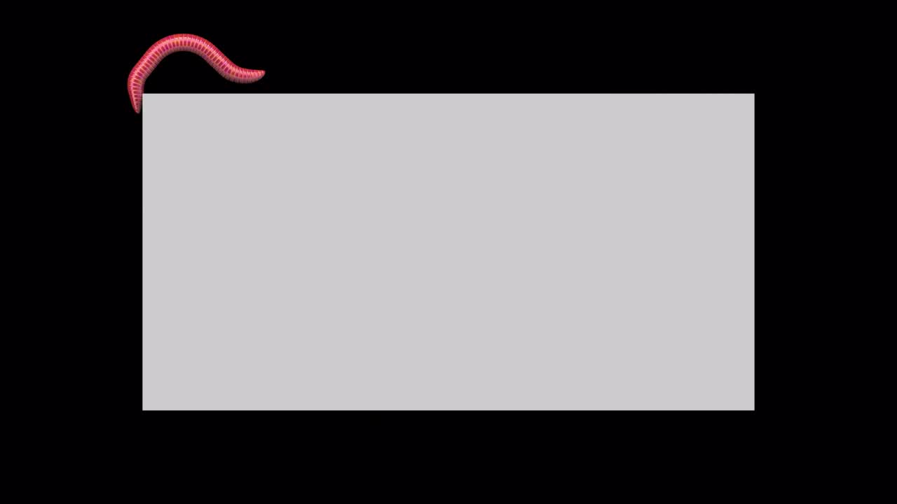 회색 직사각형의 벌레, 루핑 3d 애니메이션