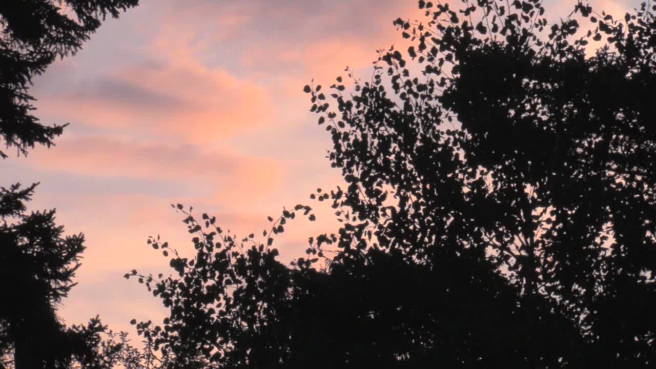 시간 경과 구름