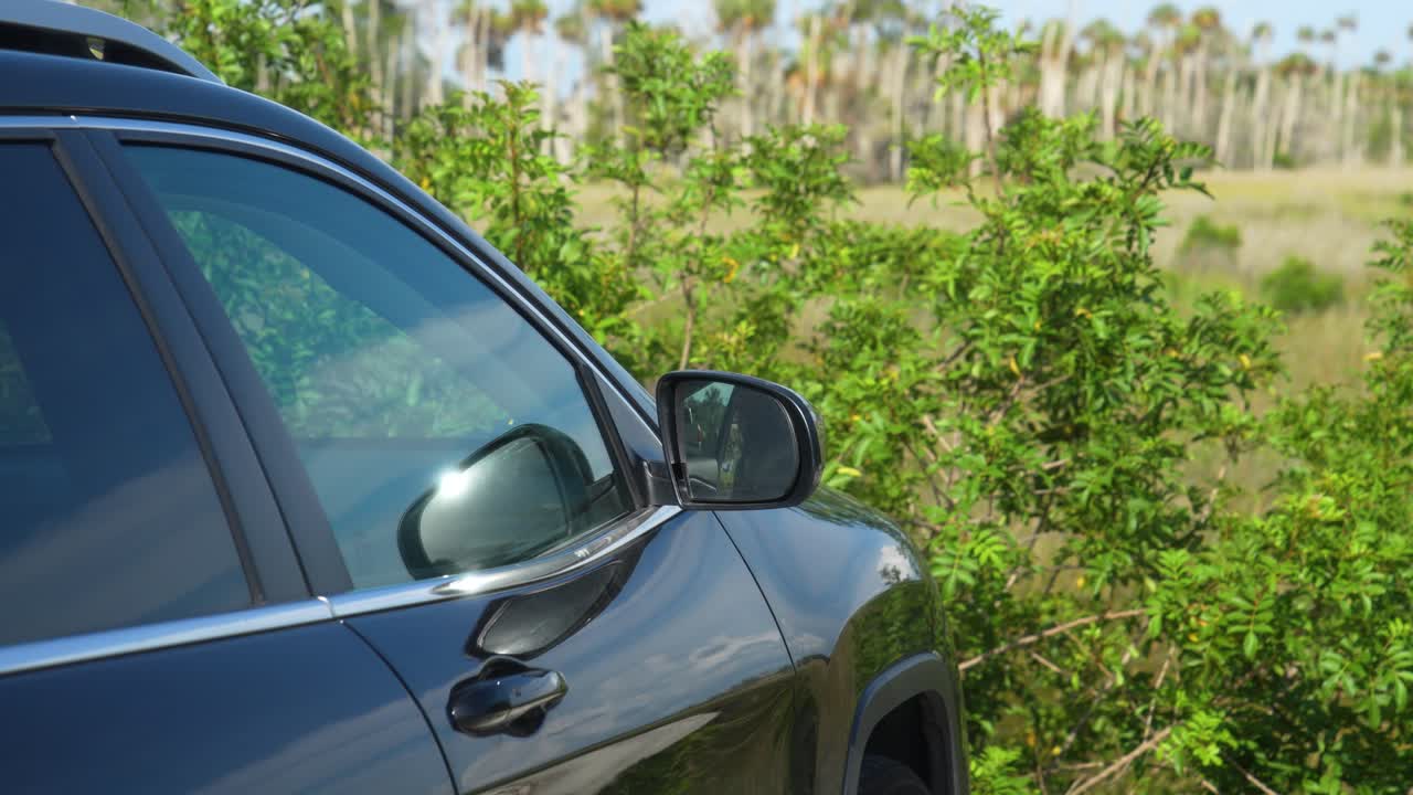 coche estacionado en la naturaleza de florida