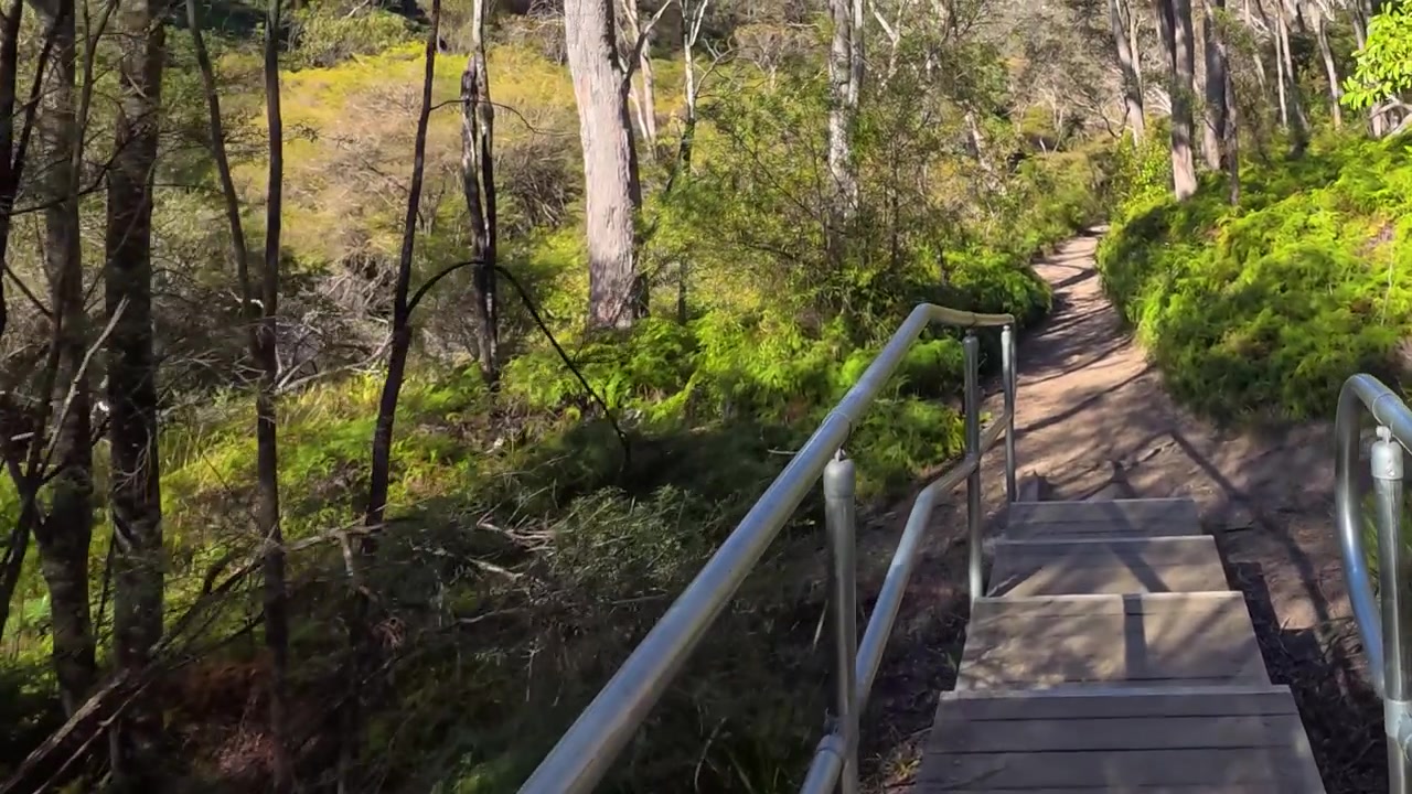 First-person perspective walking across a wooden bridge on a bushwalking trail in Wentworth Falls.