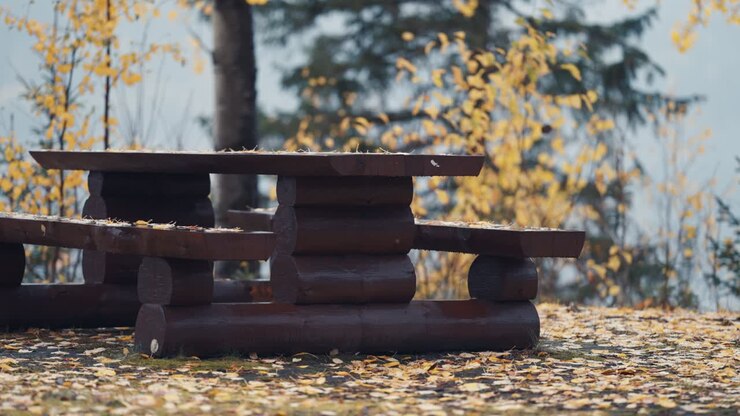 Un primo piano della panchina di legno coperta di foglie autunnali