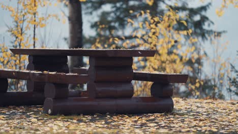 a close-up shot of the wooden bench covered with autumn leaves