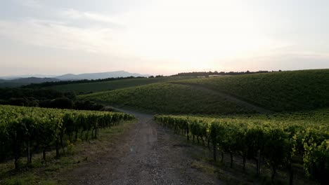 Drohnen-Panoramaaufnahme-Eines-Panoramas-In-Der-Toskana-Von-Einem-Wunderschönen-Weinberg-Bei-Sonnenuntergang