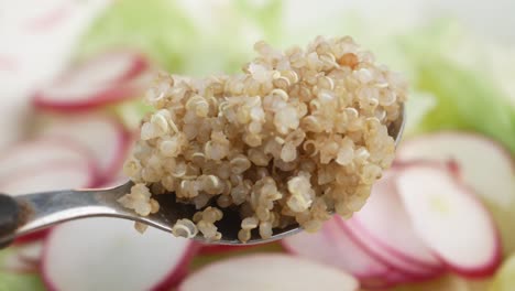 quinoa salad with radishes