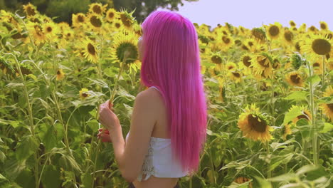 a beautiful young woman with pink hair smiles and looks at a sunflower while it glows in the summer sunshine