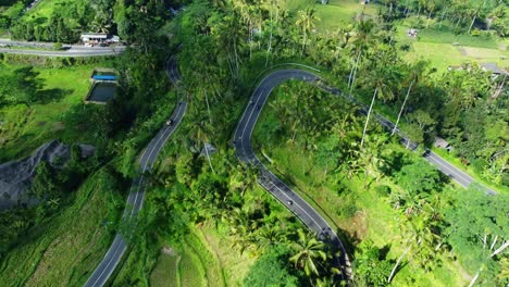 Tranquilidad-Tropical:-Imágenes-Aéreas-En-4k-Del-Encantador-Paseo-Ubud-De-Bali