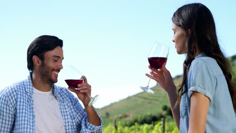 couple toasting wine glasses in the farm