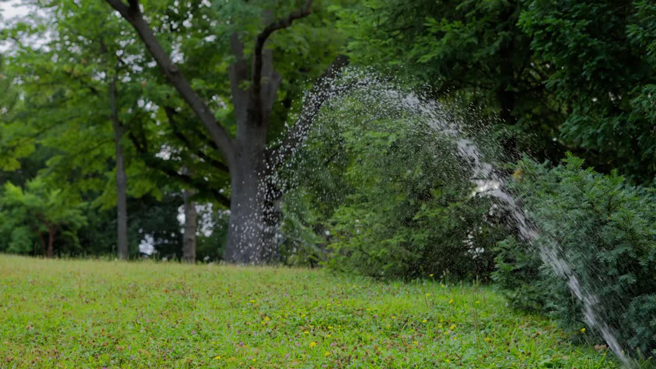 Lawn water sprinkler in park in slow motion