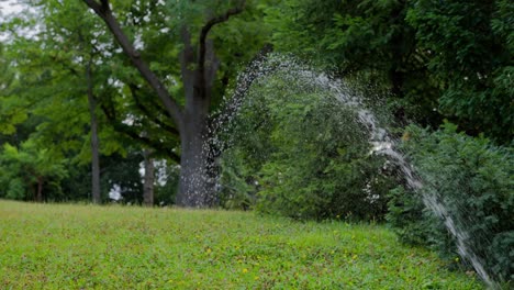 Aspersor-De-Agua-De-Césped-En-El-Parque-En-Cámara-Lenta