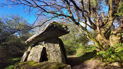 gaulstown dolmen waterford ireland portal to ancient times and history on a beautiful spring morning in an ancient mystical forest