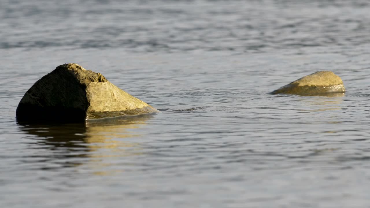 해가 지는 해변의 돌