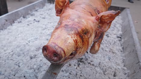 juicy pig on spit slowly roasting over bbq hot coals at food festival