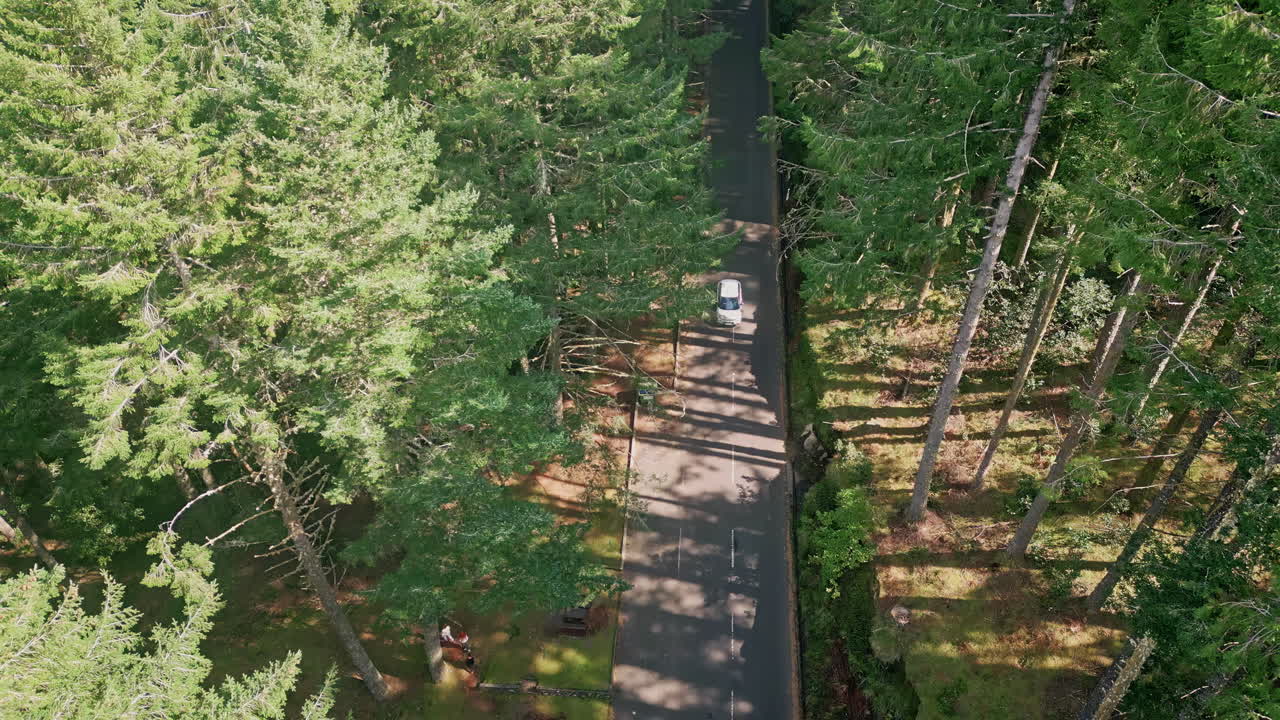 Aerial car traveling road dense green forest. Lone automobile riding woodland