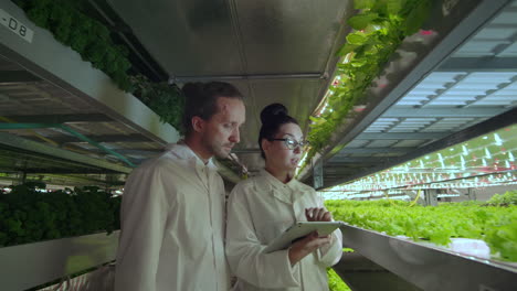 group of modern scientists biotechnology scientist in white suit with tablet for working organic hydroponic vegetable garden at greenhouse