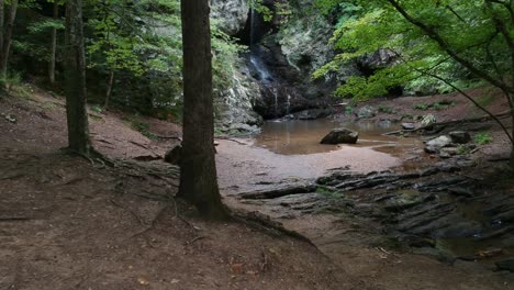 walking through the woods to a picnic and waterfall