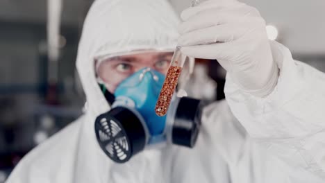 a scientist in a science lab examines buckwheat