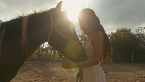 woman shares a tender moment with a horse in a sunlit outdoor setting