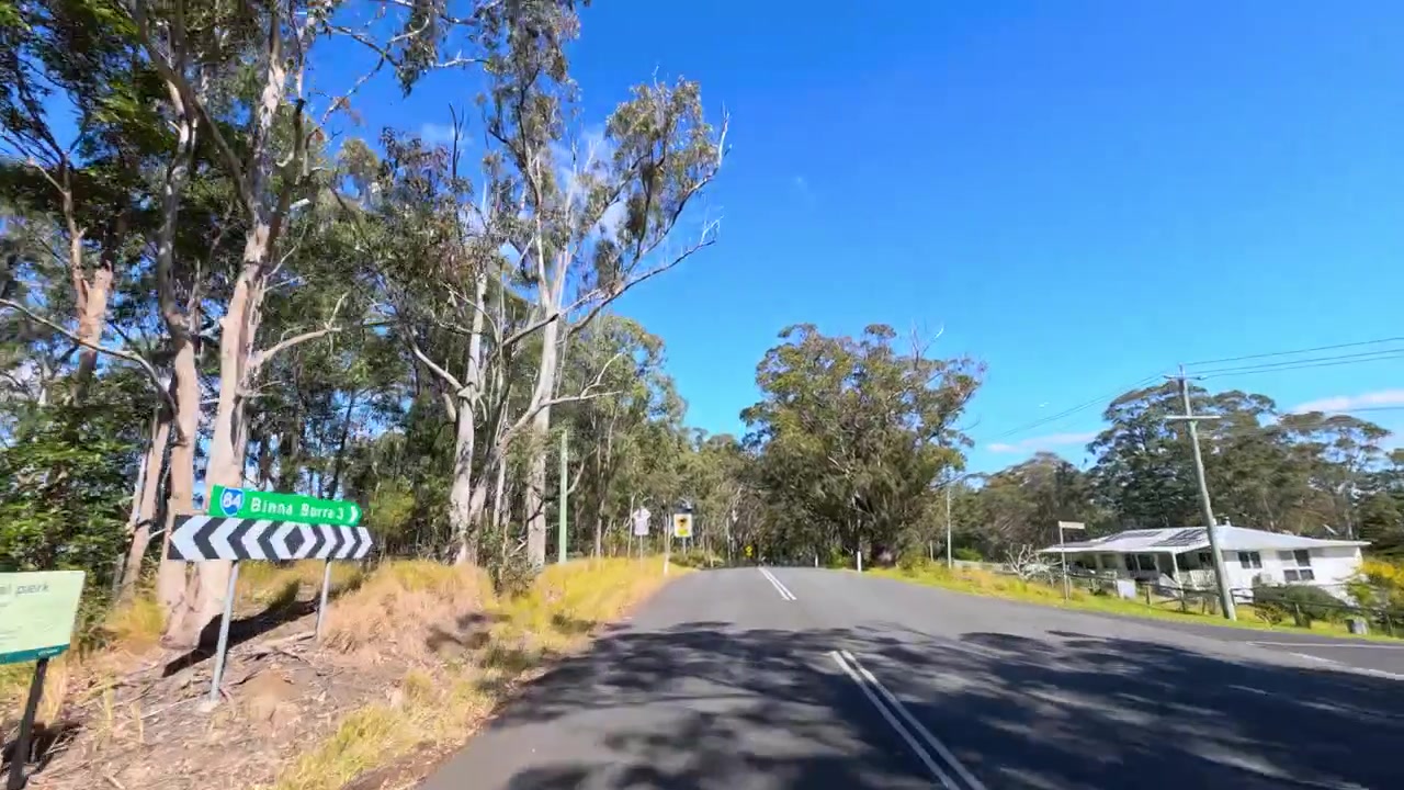 Kører gennem naturskøn australsk eukalyptusskovvej