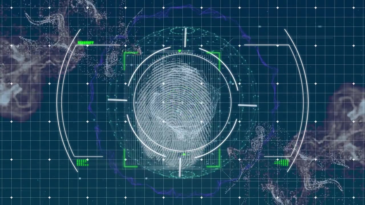 Animation of scope, biometric fingerprint, data processing over network of connections