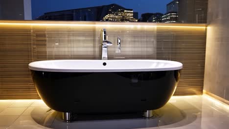 modern black freestanding bathtub in a luxurious bathroom