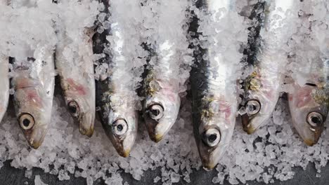 anchoas frescas en hielo