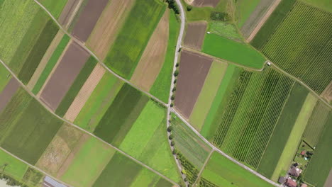 aerial view of farmland