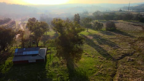 real-time drone footage of a misty sunny morning over clarksville, california, usa, showing green grassy farmland, tall trees and farmstead buildings