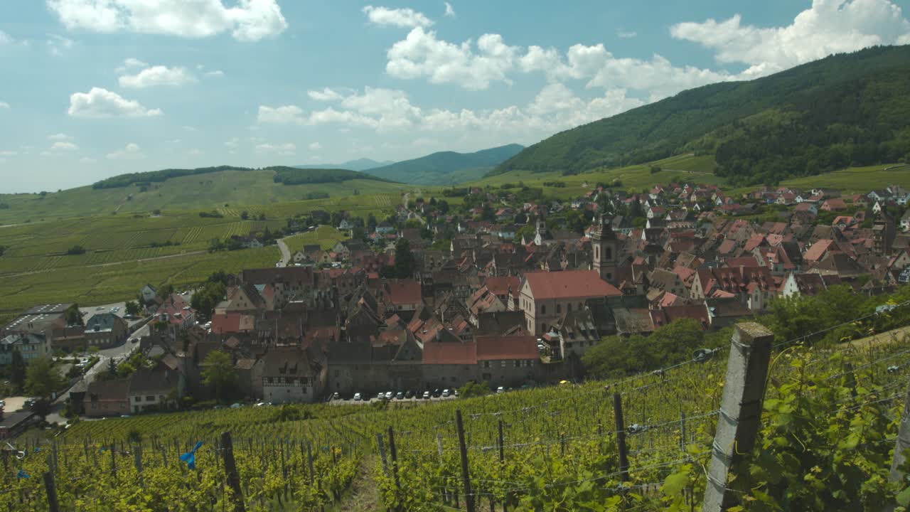 tl-riquewihr pueblo vintage rodeado de una granja de uvas, francia