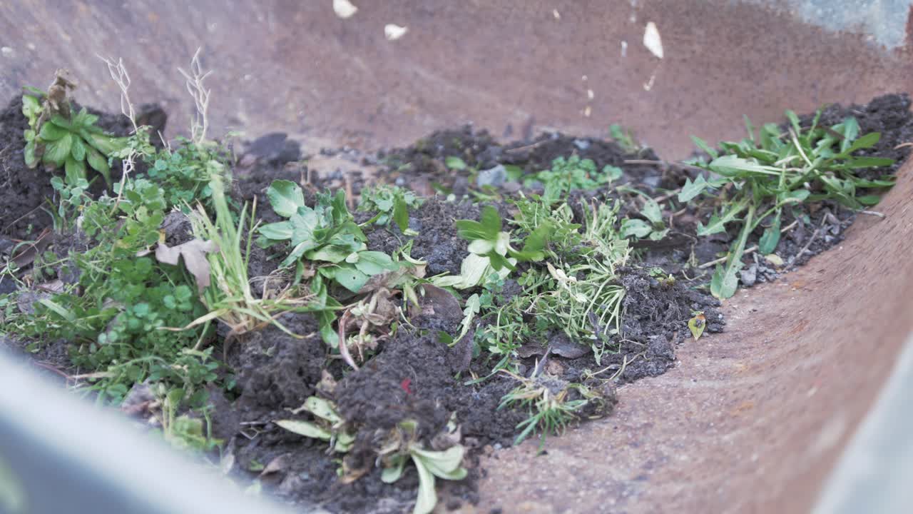 수레를 채우는 잡초 슬로우 모션 샷