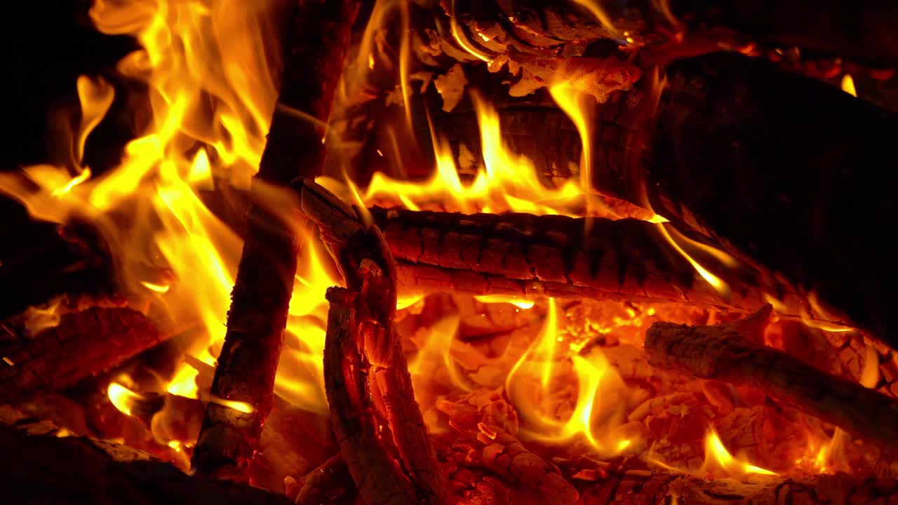 캠프불 불꽃의 클로즈업