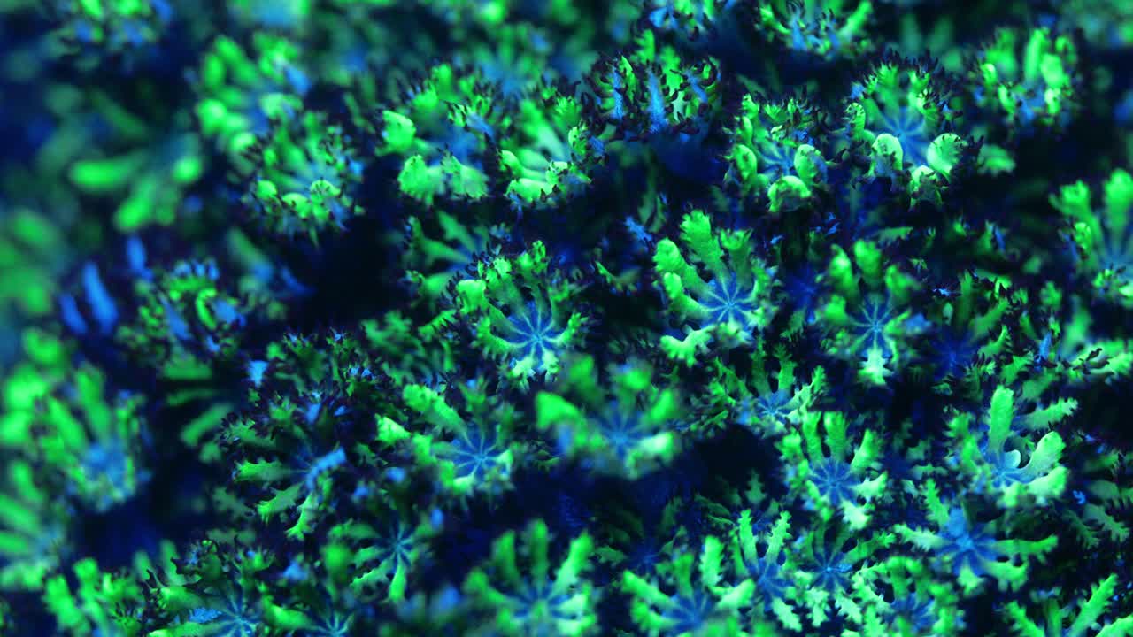 Macro close-up of green and blue Sympodium coral slowly swaying underwater in a reef tank under actinic light.