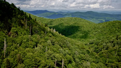 A sea of mist drapes the Smoky Mountains of North Carolina in this sweeping aerial view