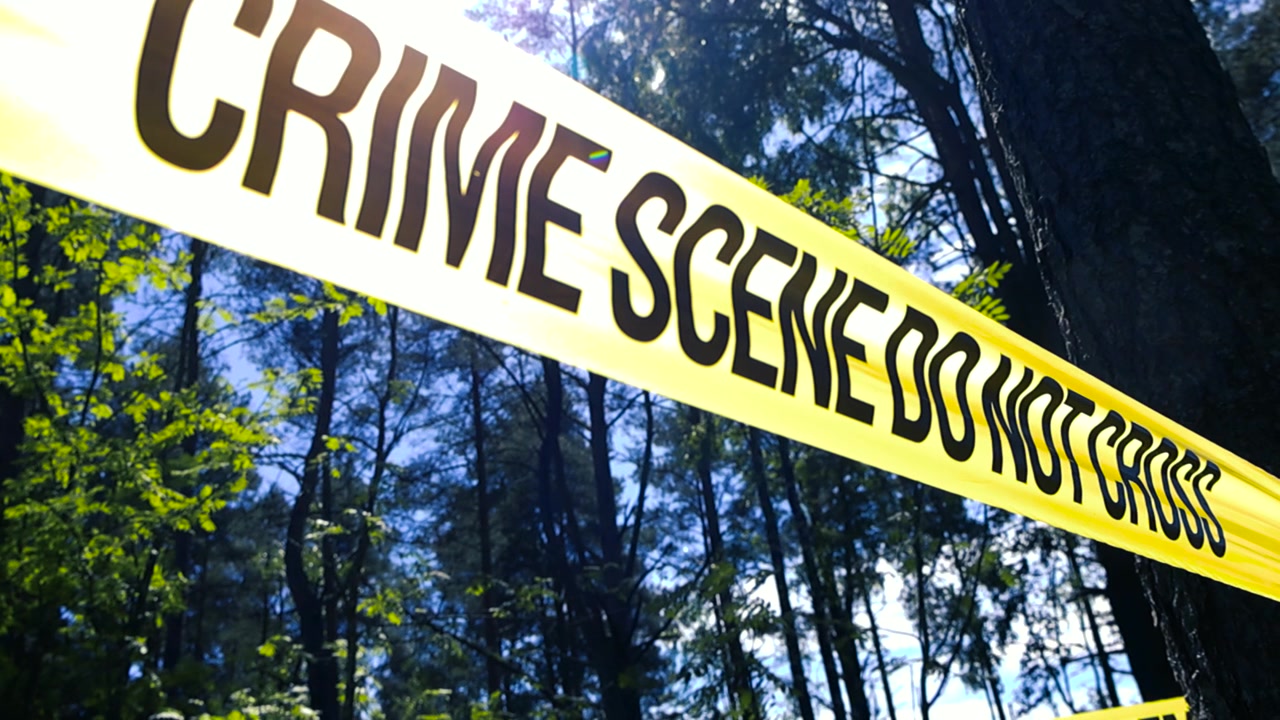 Close up of a yellow police tape with the words crime scene do not cross marking off a wooded area. Sunlight shines through the trees in a forest, creating a mysterious atmosphere