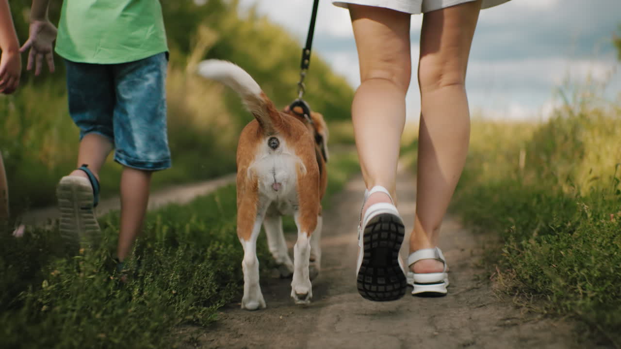 vista inferior del cuerpo de la mujer caminando con el perro en la correa junto al hijo en el camino de tierra, rodeado de vegetación exuberante y arbustos, con una vista parcial de otra persona en el fondo
