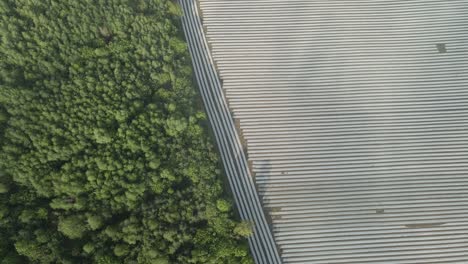 Conservación-Agrícola-Con-Hoja-Evitando-Plagas-En-Wexford-Irlanda-Antena