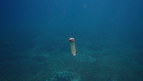un alimentador de peces de botella de plástico flotando hacia abajo hasta el fondo marino de coral en el océano azul claro liberando alimento para peces