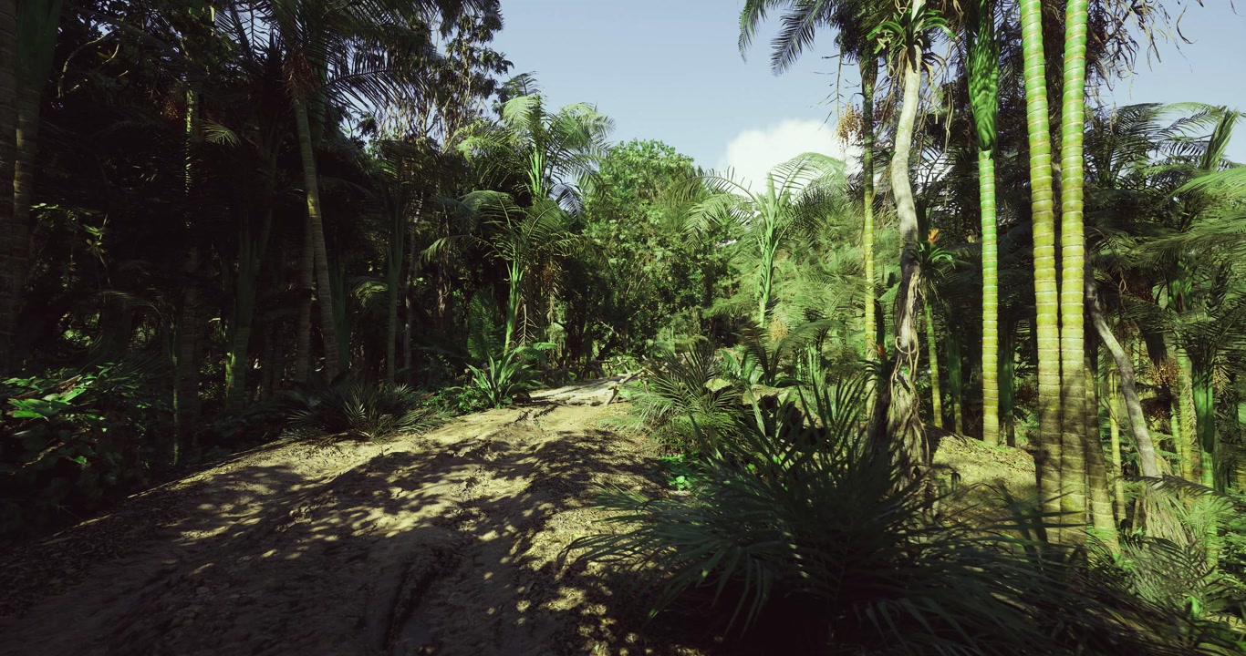 Unspoiled forest pathway with rugged ground and dense plant life for explorers